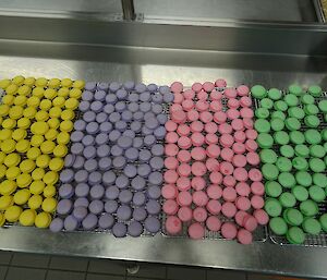 Colourful macaroons in the making (yellow, purple, pink and green), cooling down on baking trays.
