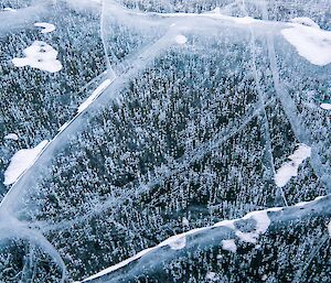 Fine bubbles trapped in ice on Lake Druzhby.