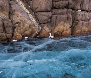 The lakes edge, where blue glassy ice meets brown boulders.