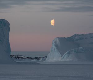 Icebergs in moonlight.