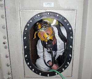 Fitzy, wearing the safety gear, inside the tank and looking out through the closed door.
