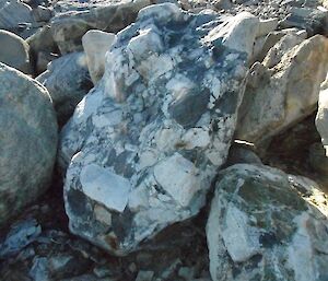 A mottled looking rock.