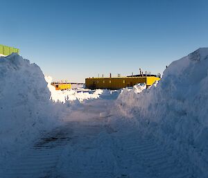 A freshly cleared road between the workshop and the science building.