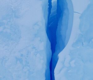 Cracks in the ice bergs showing their almost fluorescent violet colour in the dull grey light.