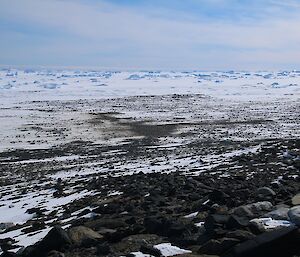 A penguin colony is seen in the distance. Icebergs line the horizon.