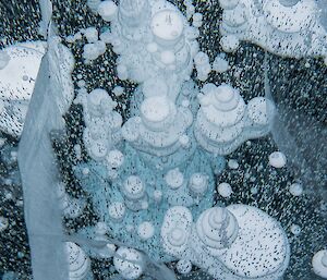 Bubbles trapped in the ice at Lichen Lake looking like abstract art.
