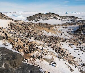 Mikkelsen’s Cairn, marked by the white pole but surrounded by penguins.
