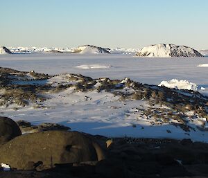 Photo of landscape with rocks in foreground with mountains in the background.