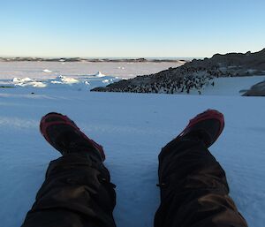 Two legs with boots on poking out onto the photo with penguins, ice and blue sky in the background