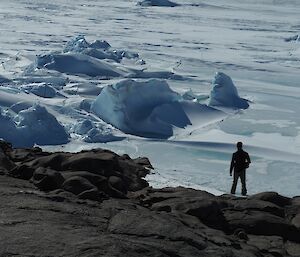 A person stands looking at sea ice and small icebergs.
