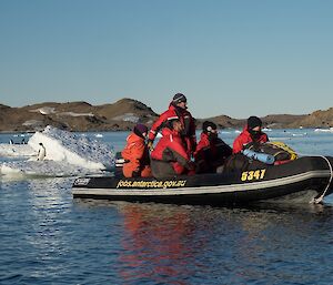 A boat passes penguins on ice floes