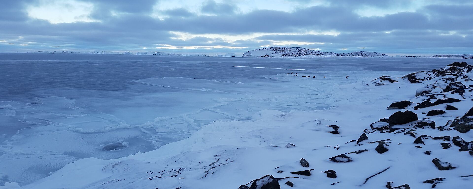 View of thin sea ice in the bay and snow-covered islands with penguins standing on sea ice in the distance.