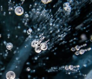 Close up photo of small air bubbles trapped in the frozen fresh water lake.