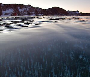 Air bubbles trapped in the frozen fresh water lake.