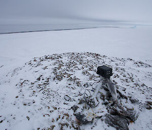 Research camera equipment mounted on a tripod with rocks stacked around it for support.