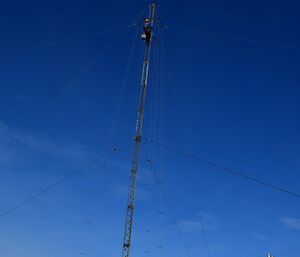 Expeditioner climbing the mast