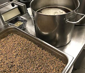 Tray full of the spent malt barley and a large stainless steel pot of the wort.