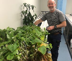 man with plants in hydroponics room