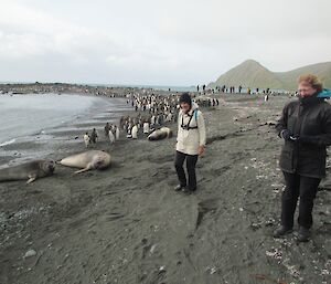 Tourists at Sandy Bay