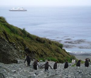 Big tourist ship Silver Discoverer as viewed from Gadgets Gully