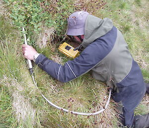 Wildlife ranger Mike uses a boroscope to inspect blue petrel nesting burrows at Green Gorge