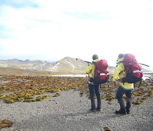 Two expeditioners with pack-laden backs facing camera look off into the grassy, hilly horizon