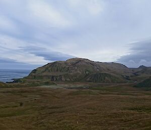 Green Gorge basin covered in greenery, shrouded by a gloomy sky with water in the background