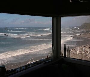 Hurd Point beach from the Hurd Point hut