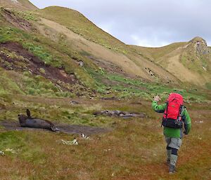 Sean farewells a local inhabitant at Green Gorge