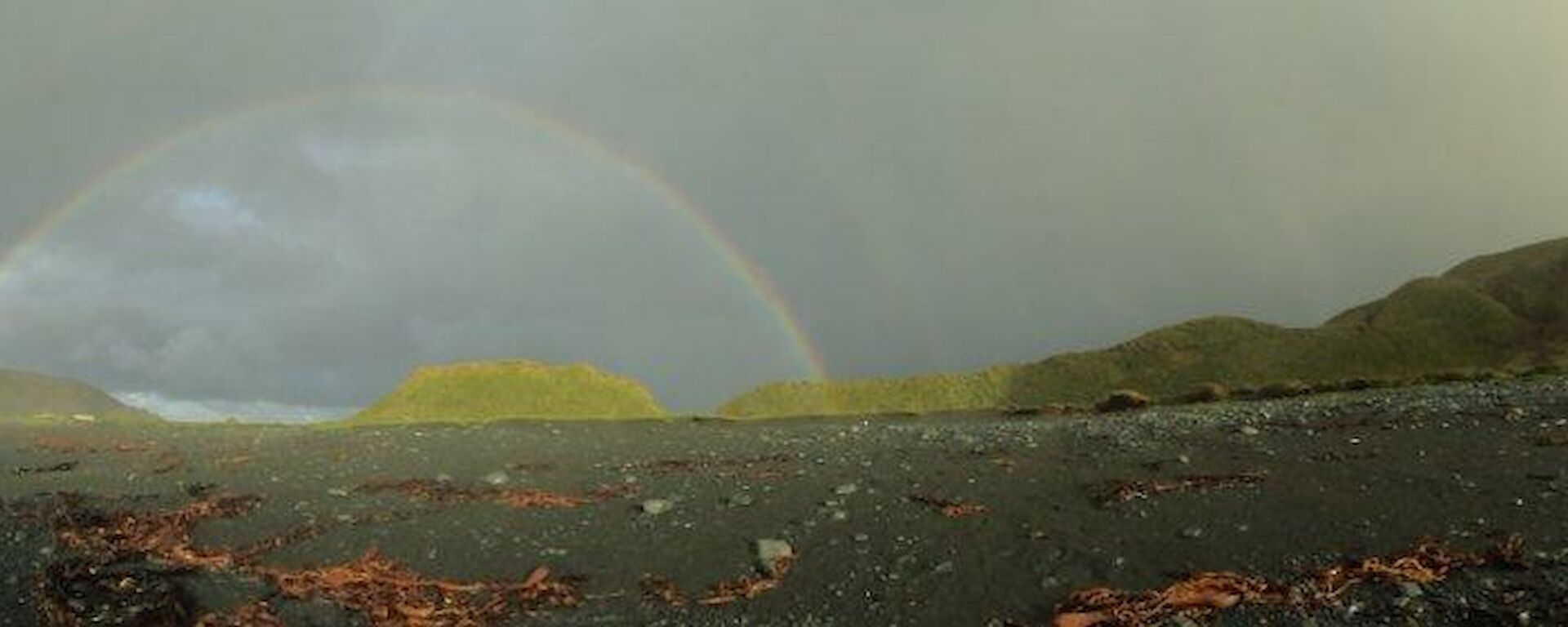 Panoramic landscape shot of macquarie island featuring green hills, ocean on left and a full rainbow — breathtaking