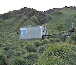 Hurd Point hut nestled amongst long tussock grass on a hillside