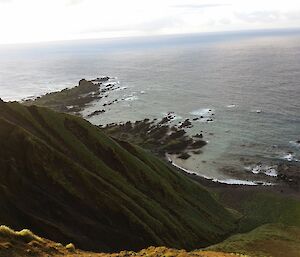 Hurd Point showing a steep slope covered with flora, leading down to a rocky shore and ocean beyond