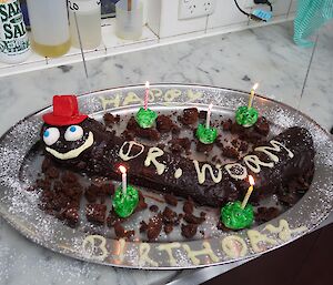 Ingrid’s birthday cake