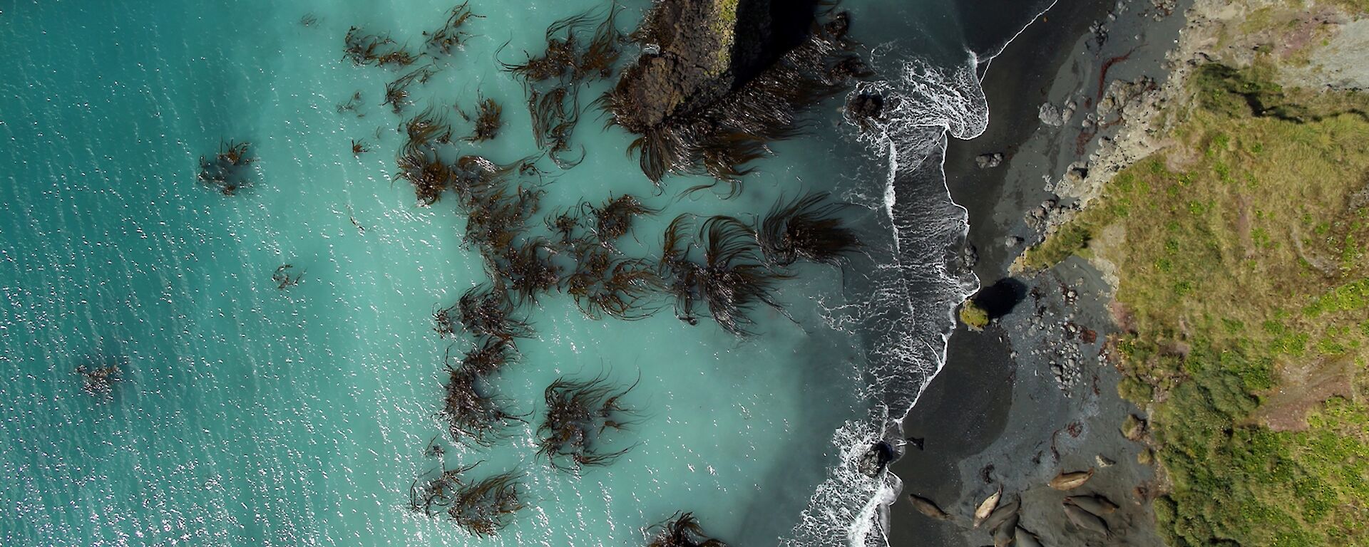 Beach from Jarrod’s drone