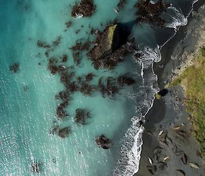 Beach from Jarrod’s drone