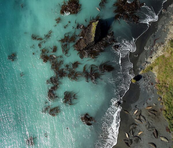 Beach from Jarrod’s drone