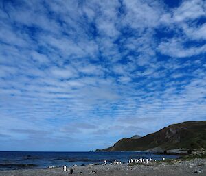 Macca cloudscape