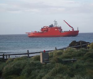 Aurora Australis in Buckles Bay