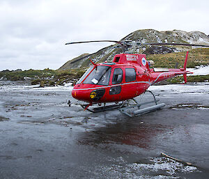 Red helicopter on black sandy beach with snow-covered mountain in background