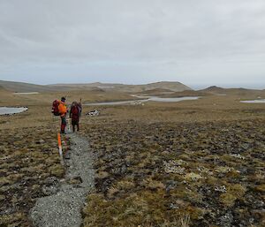 Landscape with low grass and two hikers on narrow grey gravel track talking