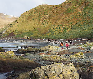 Two women with backpacks walking along a beach with penguins in the background