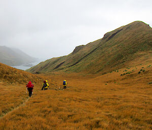 Three people walking with back to camera as small figures in a landscape of grass and ocean bluffs in distance