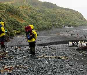 three expeditioners on a black sandy beach loooking at a small colony of king penguins