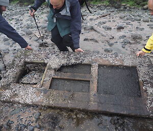 A door laying on the beach covered in penguin feathes and three people pointing at it