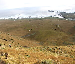 Man walking up a steep grassy slope