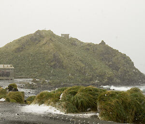 Ham shack on hill in background with tussock in foreground covered in snow and blowing in th wind