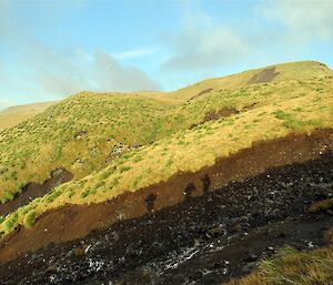 Shadows of three hikers on a grassy slope