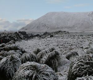 The view towards Handspike from Eagle Bay