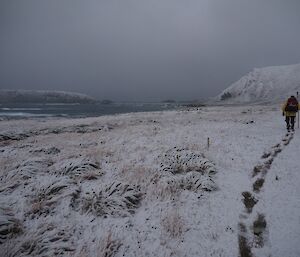 Duncan making the final spurt for home leaving tracks in the snow