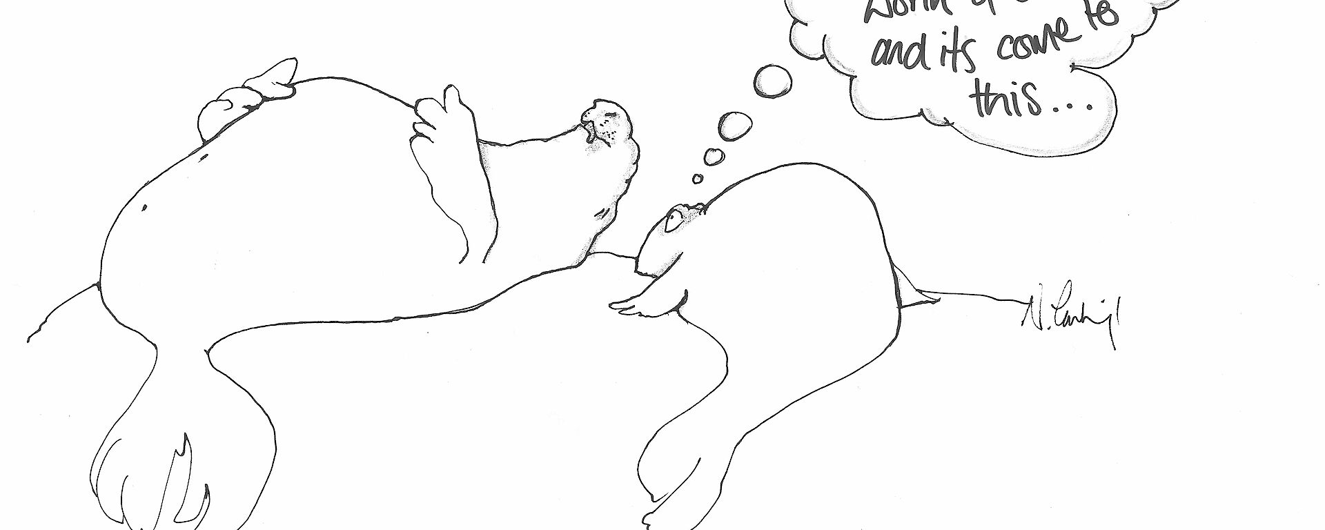 Cartoon of elephant seal sleeping on its back in bed